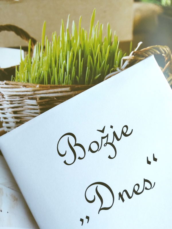 Boie Dnes